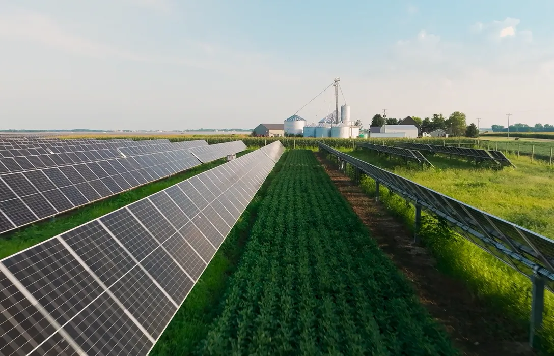 Solar Alliance: A Strategic Partnership Wins Work and Fights a Common Enemy